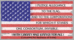 Our New Flag